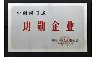 中國閥門城頒發(fā)榮譽